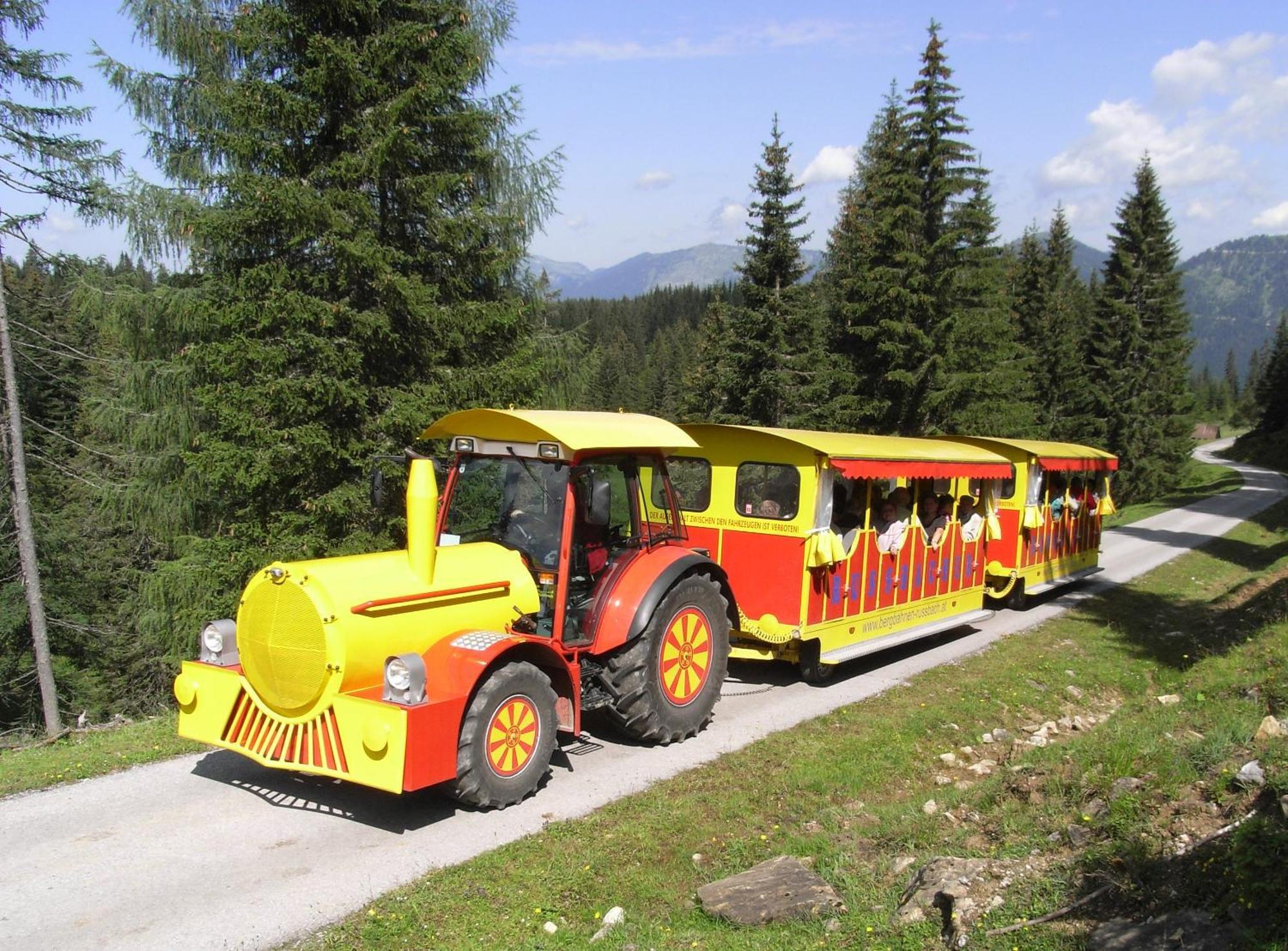 Dachstein West Hotel Gmbh-Kirchenwirt Russbach Russbach am Pass Gschütt Exterior photo